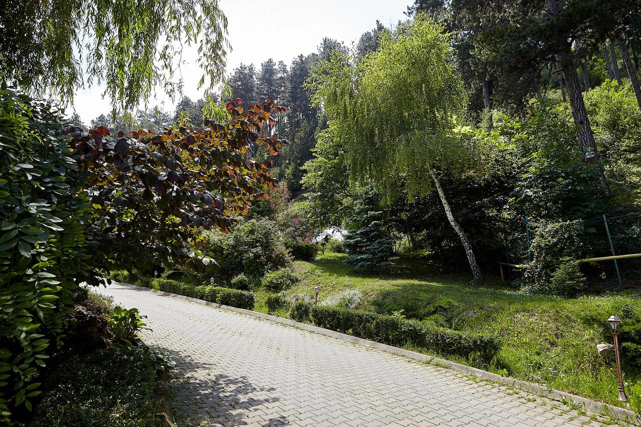 Hotel Bellavista Brasov Săcele Exteriér fotografie